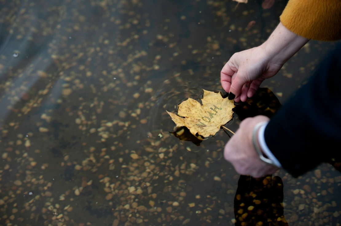 a person holding a leaf in the water